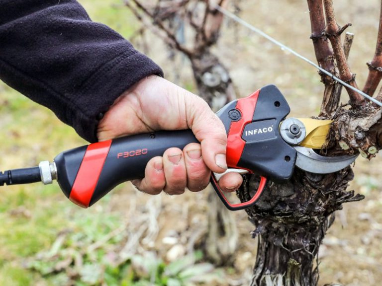 Sécateur Electrocoup F3020