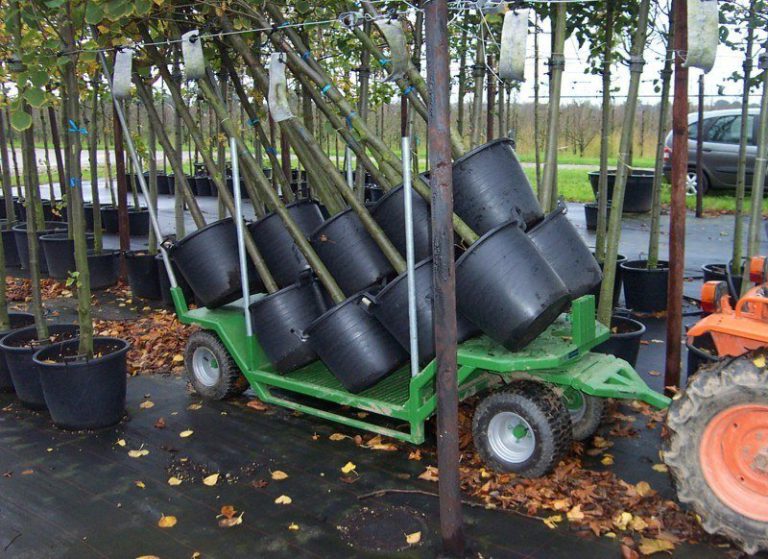Chariot de manutention