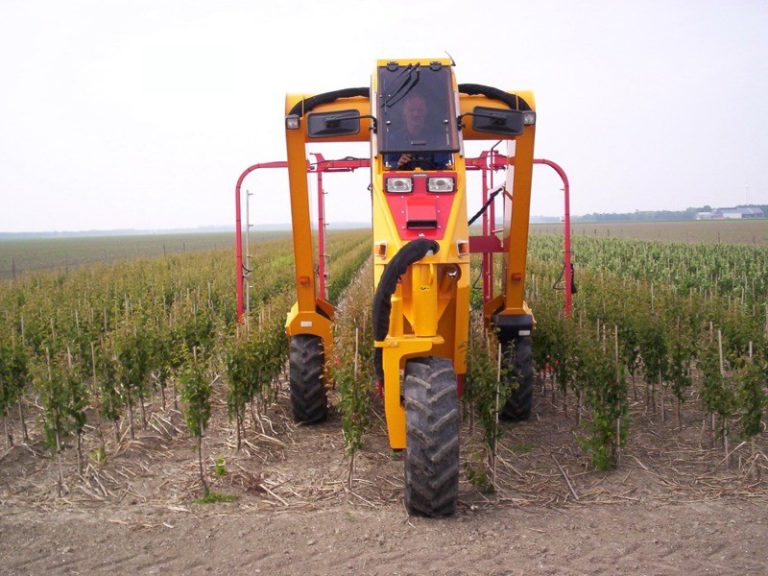 Tracteur enjambeur