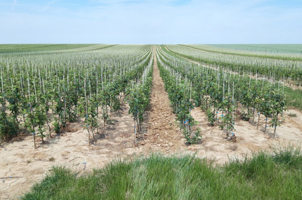 Résultat sur sol limoneux lourd
