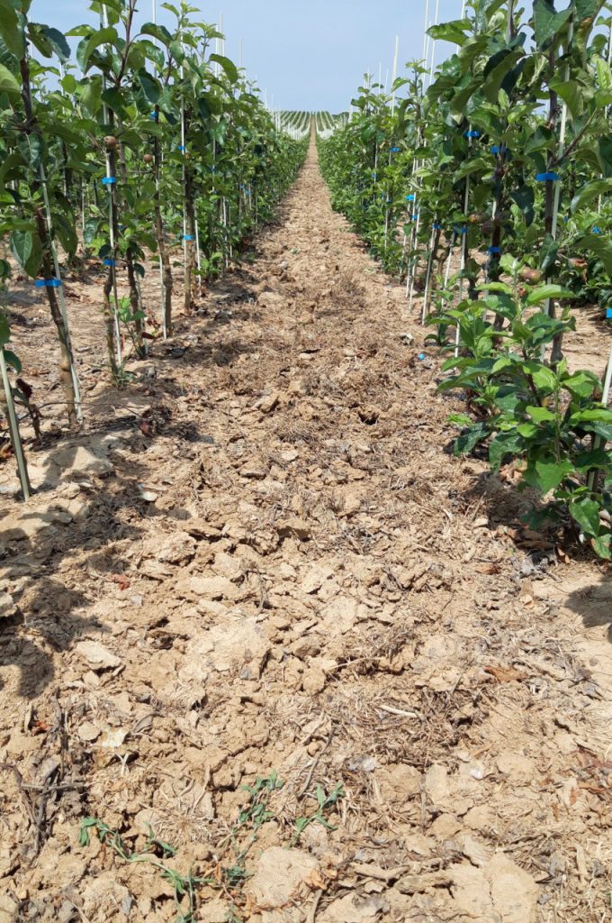 Résultat sur sol limoneux lourd