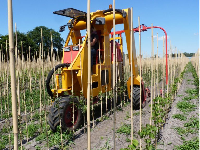 Tracteur enjambeur