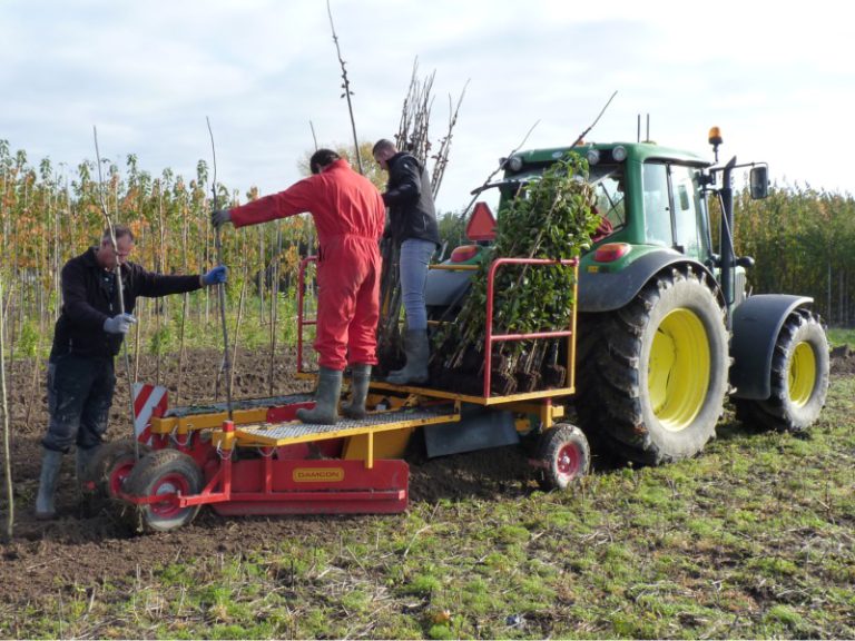 Planter des arbres sur un GPS avec une planteuse Damcon
