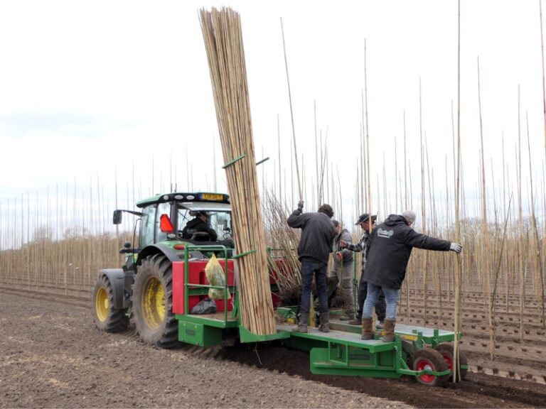 HSD-IW perçoir de trous pour bambous dans planteuse catégorie