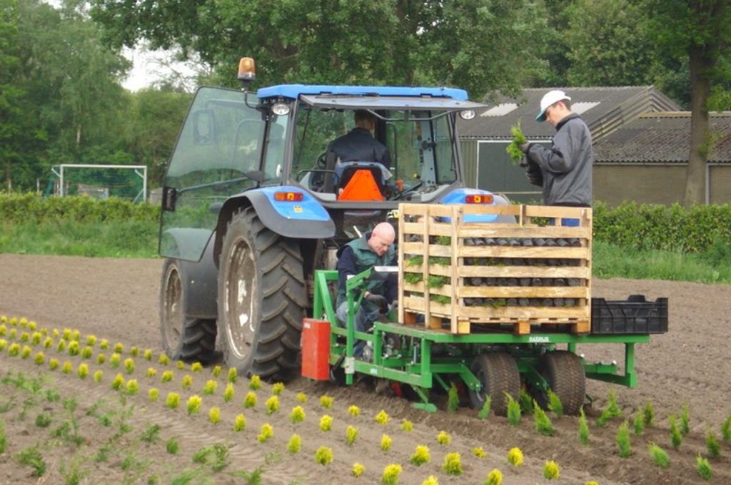Planteuse profond 3-rangs