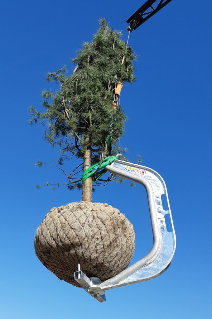 Crochet pour transports d'arbre BLH-1000