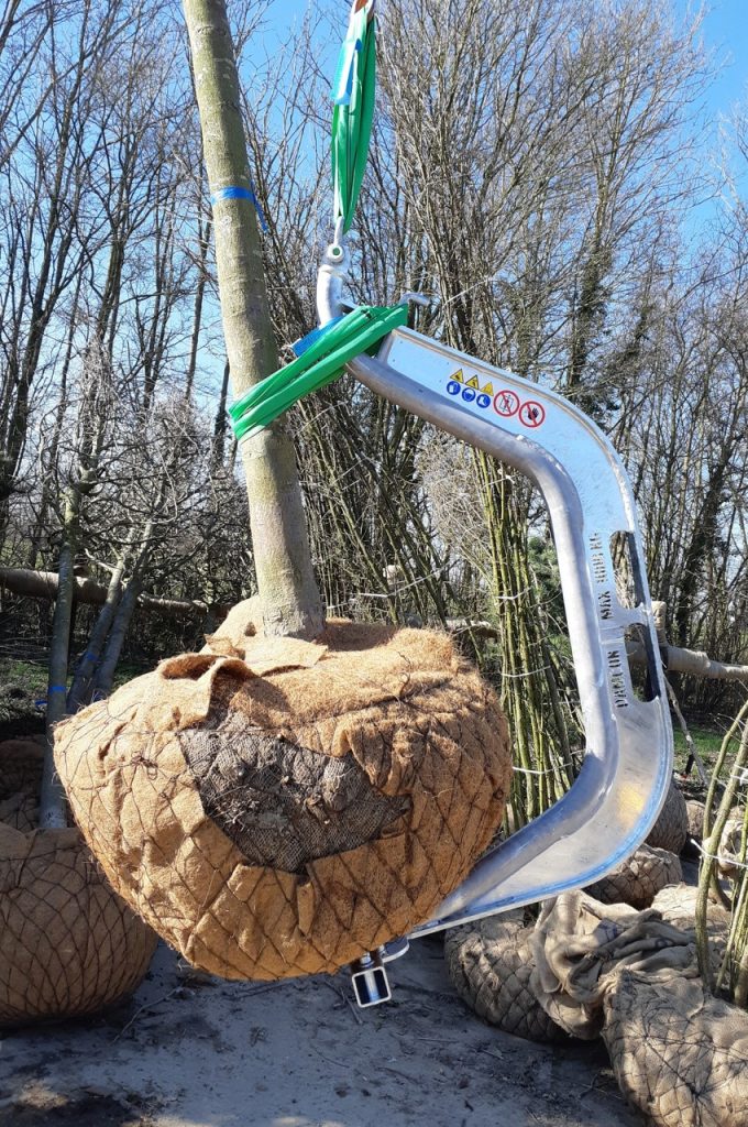 Crochet pour transports d'arbre BLH-1000