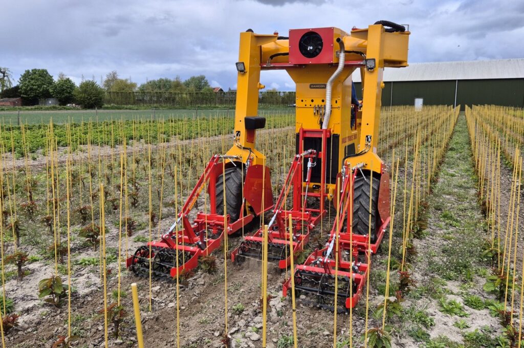 HWD-360 avec 3x SF 75 bineuses avec désherbeurs à torsion