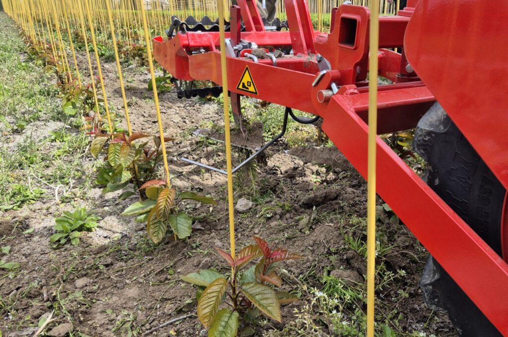 HWD-360 avec 3x SF 75 bineuses avec désherbeurs à torsion
