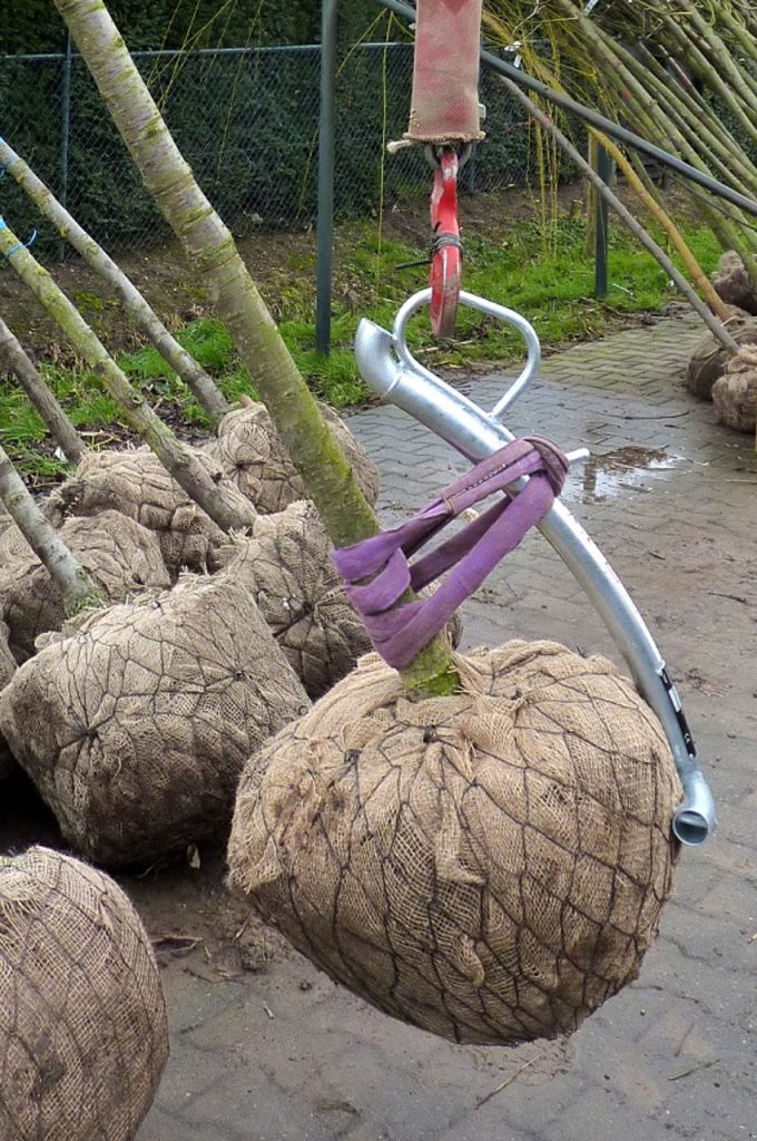 Crochet pour transports d'arbre BLC