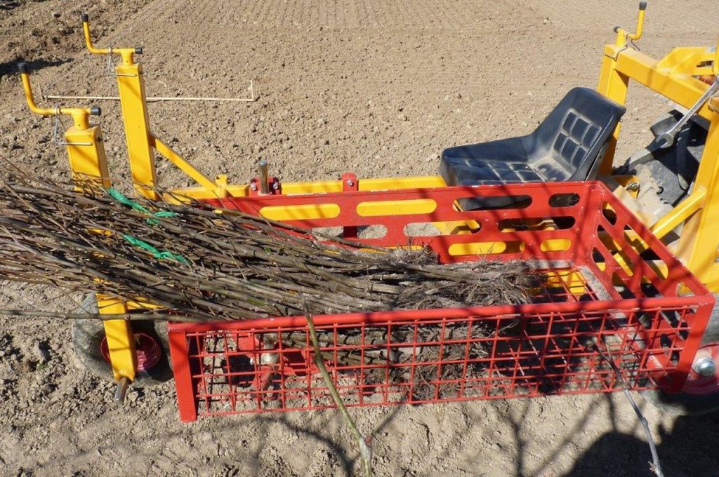 PL-10 caisse de stockage des plantes