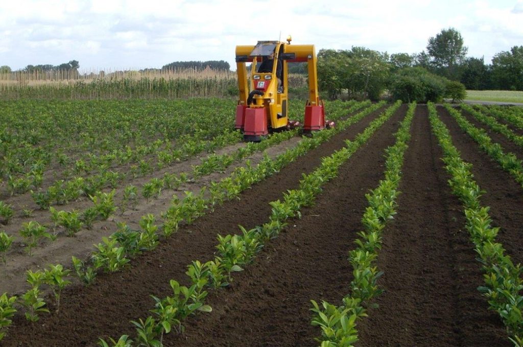 Cultivateurs 3 rangs - Tracteur enjambeur