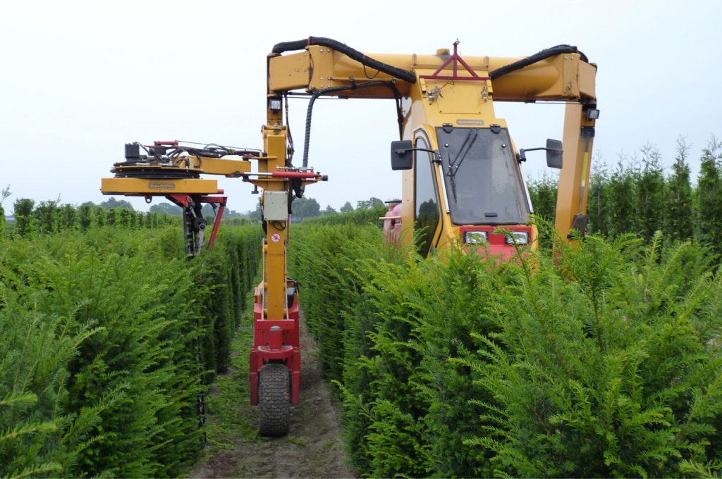 Sécateur de cône - Tracteur enjambeur