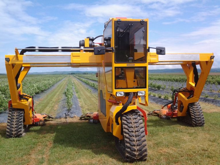 Tracteur enjambeur à chenilles pour myrtilles