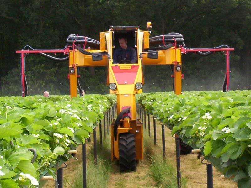 Multitrike pour fraises - Tracteur enjambeur
