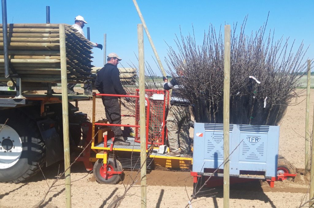 Mettre des poteaux et planter des arbres en 1 couloir de travail