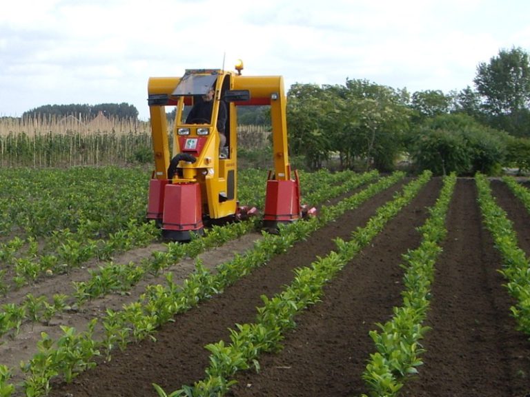 Cultivateurs 3 rangs - Tracteur enjambeur