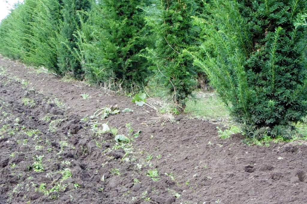 Résultat cultivateurs