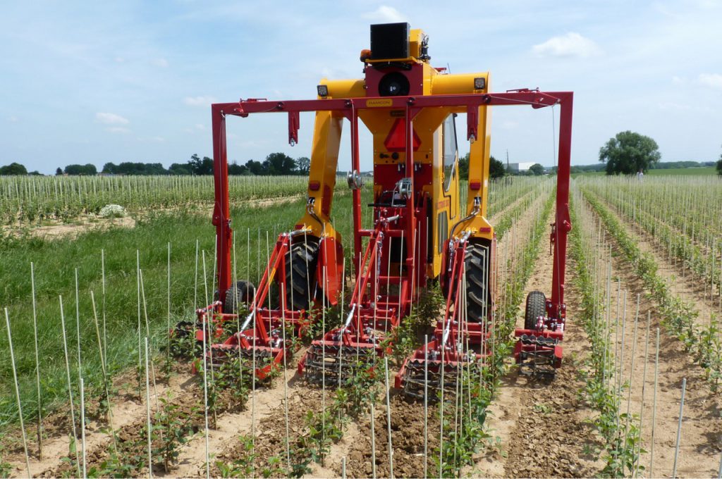 Binage avec désherbeurs à torsion 1 an de culture distance entre rangs 80 cm - Tracteur enjambeur