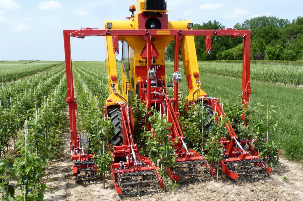 Binage avec désherbeurs à torsion 2 ans de culture distance entre rangs 80 cm - Tracteur enjambeur
