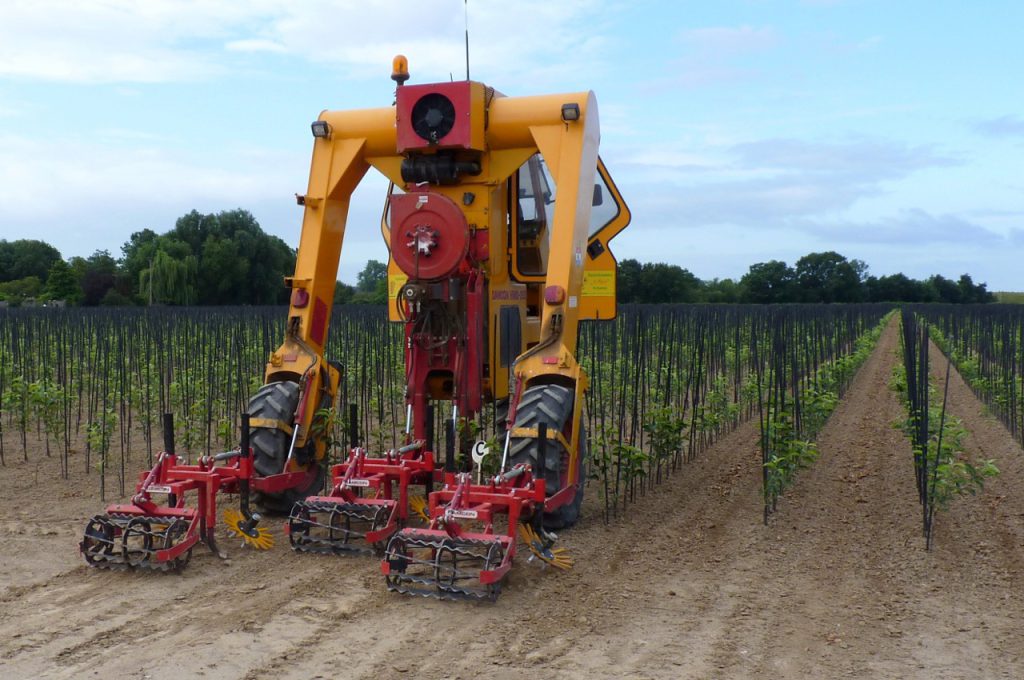Binage avec désherbeurs à doigts distance entre rangs 90 cm - Tracteur enjambeur
