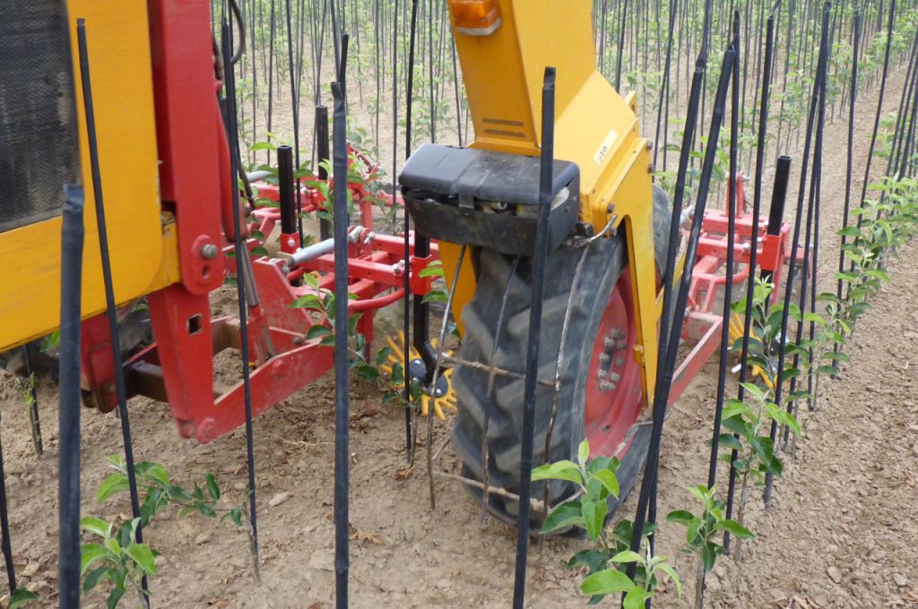 Binage avec désherbeurs à doigts distance entre rangs 90 cm - Tracteur enjambeur
