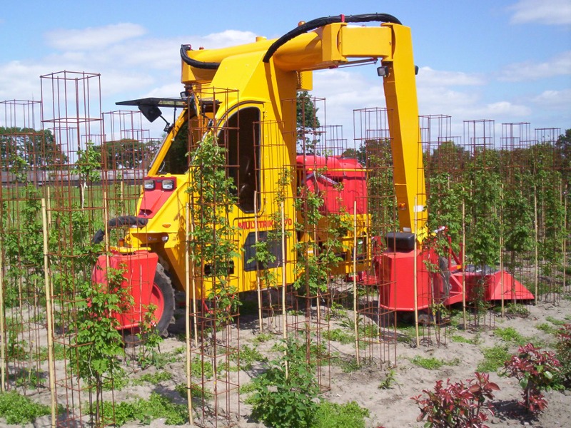 Multitrike pour arbustes et conifères - Tracteur enjambeur