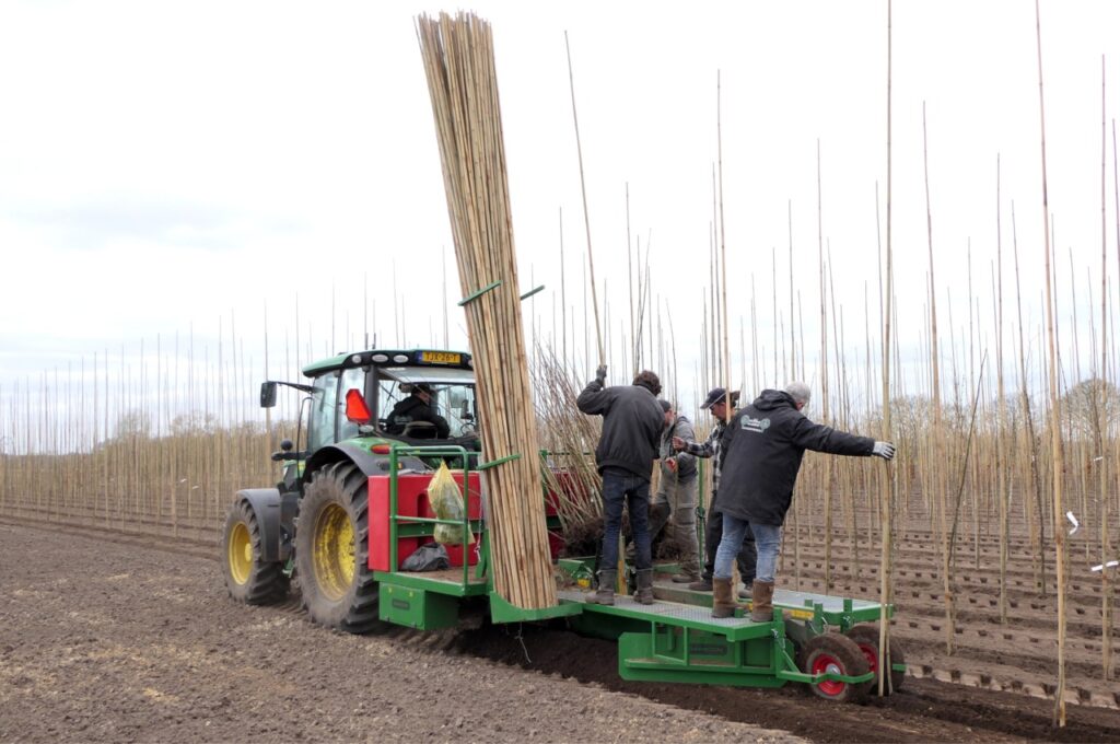 HSD-IW perçoir de trous pour bambous dans planteuse